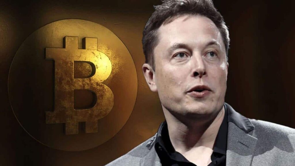Analisis Teknikal: Prediksi Elon Musk All-In Bitcoin pada 2026