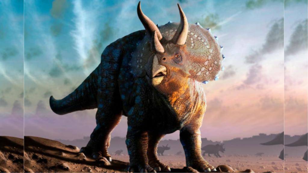 Peneliti temukan fungsi rahasia hidung Triceratops sebagai “AC alami” melalui studi anatomi berbasis pemindaian CT yang dipublikasikan dalam jurnal ilmiah The Anatomical Record.